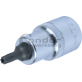 Padrunotsik 1/2" auguga TORX T25x55mm