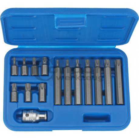 Otsikute komplekt TORX (T20-T55), 15-osaline