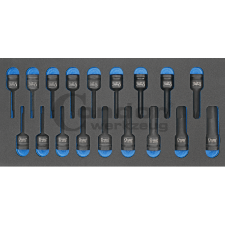 Löökotsikute komplekt TORX / HEX 1/2" moodulis