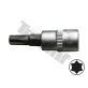 Padrunotsik 3/8" TORX T20