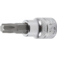 Padrunotsik 3/8" TORX T40