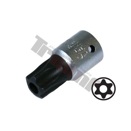 Padrunotsik CV 1/4" 5-ne TORX T20 TS-TORX